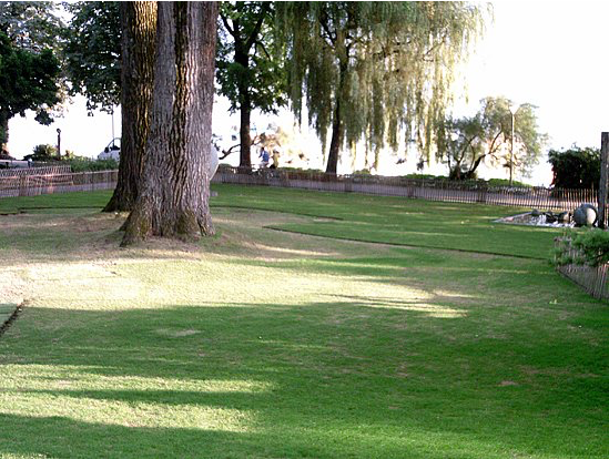 Entretien de jardin - Jaccard Bernard Paysages