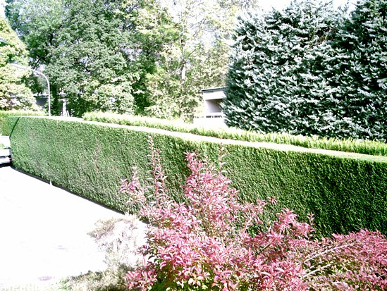 Entretien de jardin - Jaccard Bernard Paysages