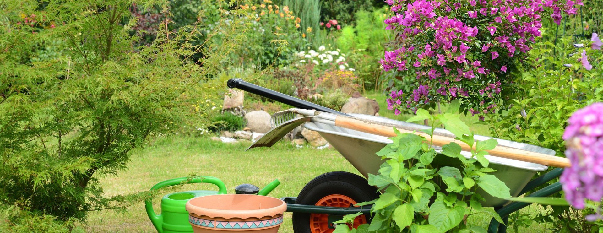 Entretien de jardin - Jaccard Bernard Paysages