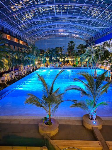 Hallenbad mit blauer Beleuchtung, Palmen und Glasdecke.