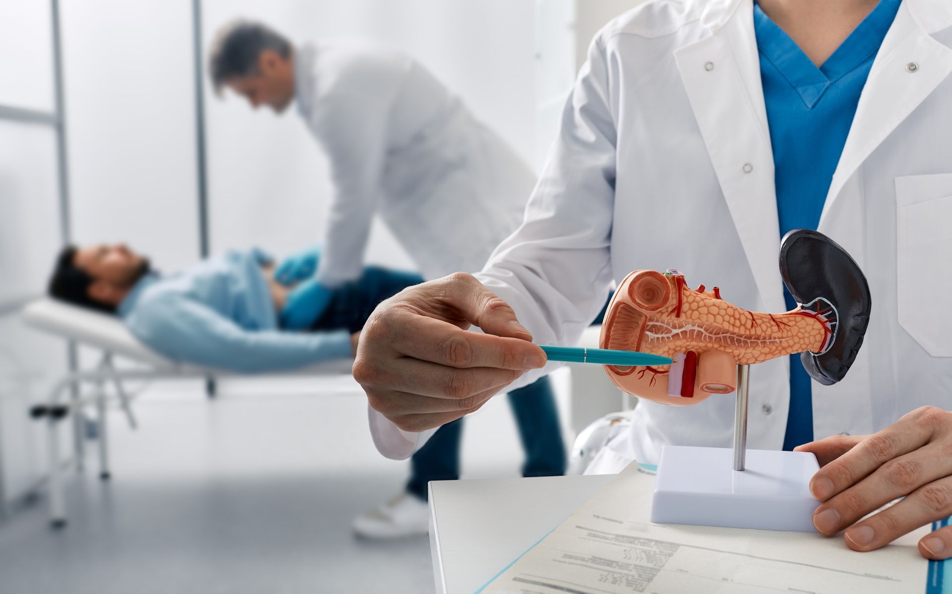 Un medico illustra l'anatomia utilizzando un modello di stomaco e pancreas in un'aula di medicina; il paziente è sfocato sullo sfondo.
