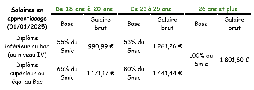 Tableau présentant les salaires des apprentis en fonction de l'âge et du niveau de diplôme