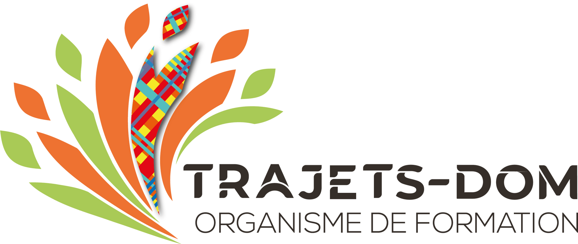 Logo Trajets-Dom, l'association pour la formation