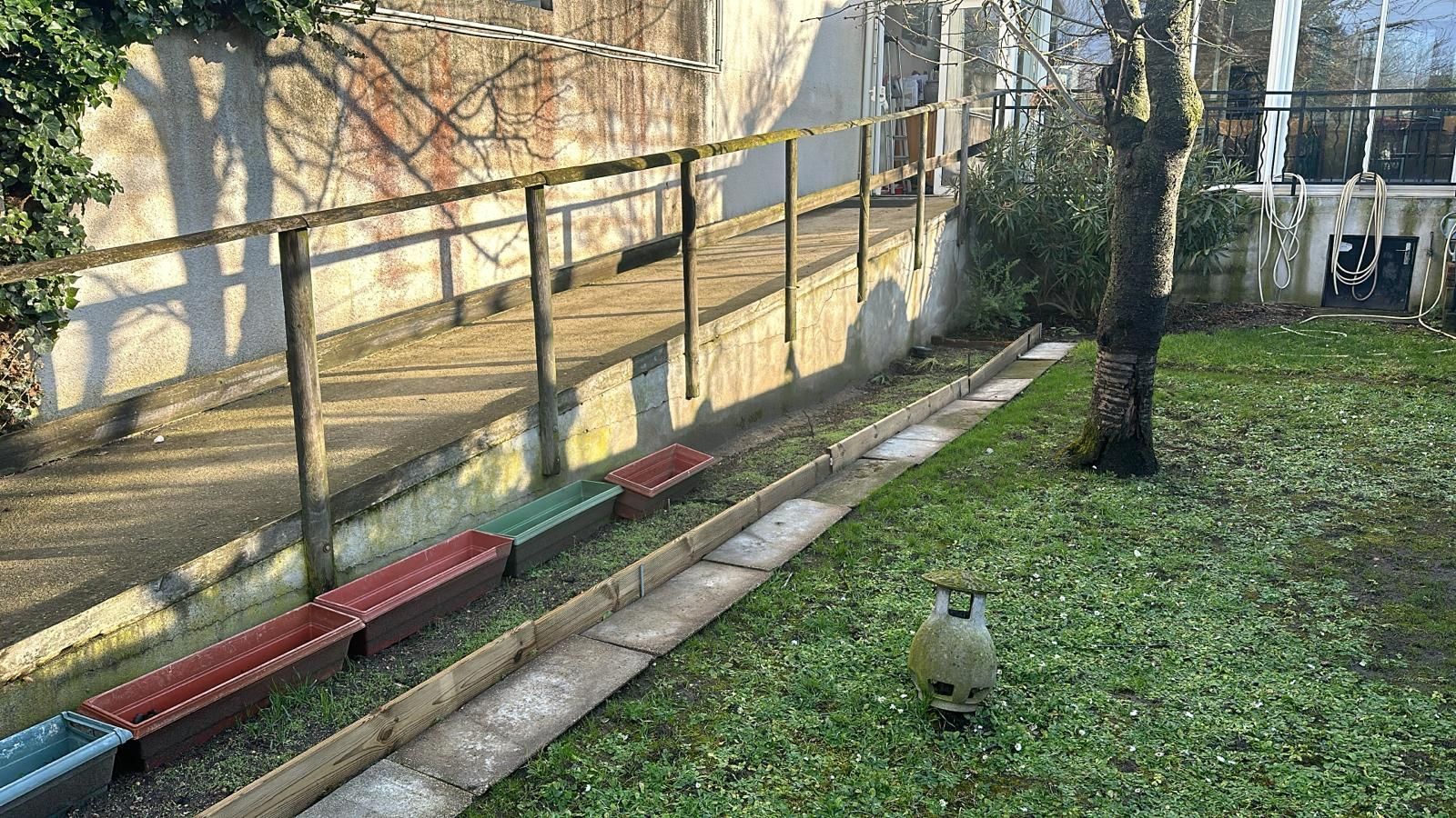 Un verdier d'Europe dans un jardin.