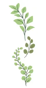 Ramas de hojas verdes de diversas formas.