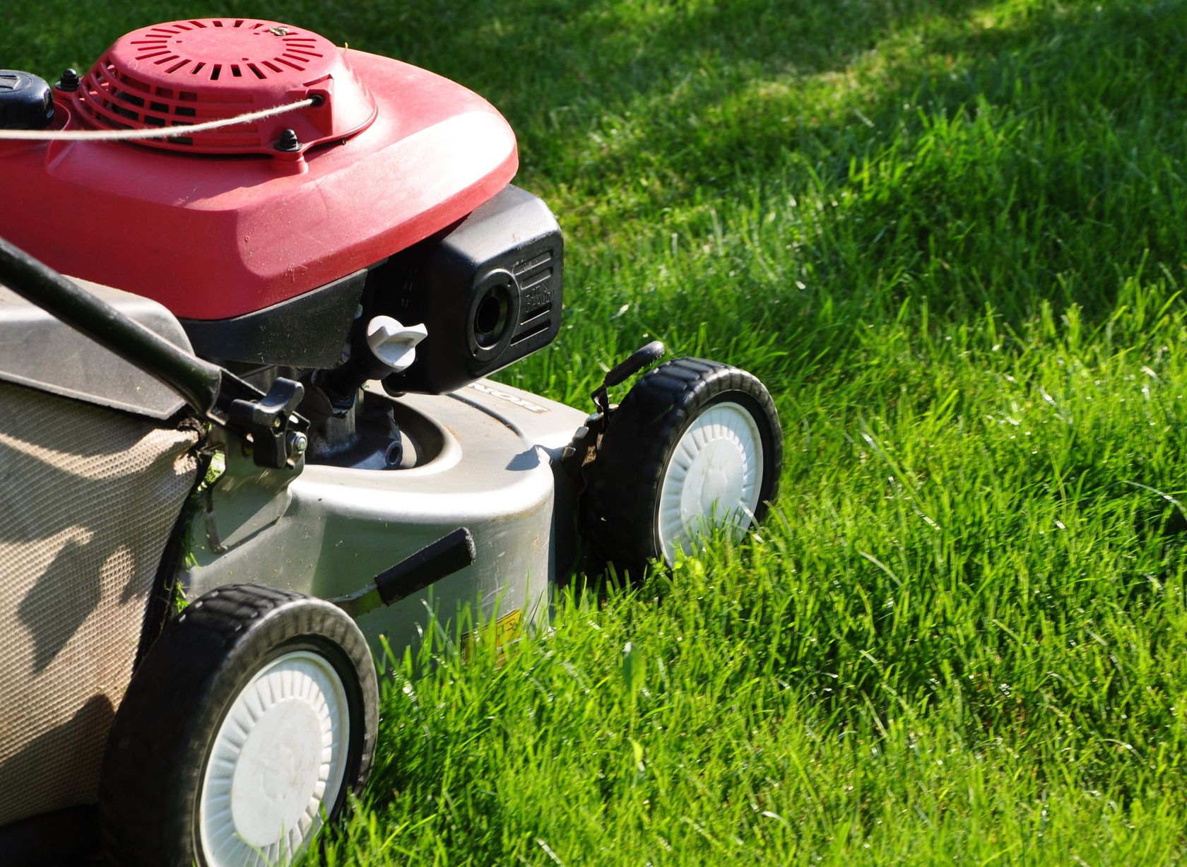 Tondeuse à gazon rouge et grise coupant l'herbe verte brillante par une journée ensoleillée.