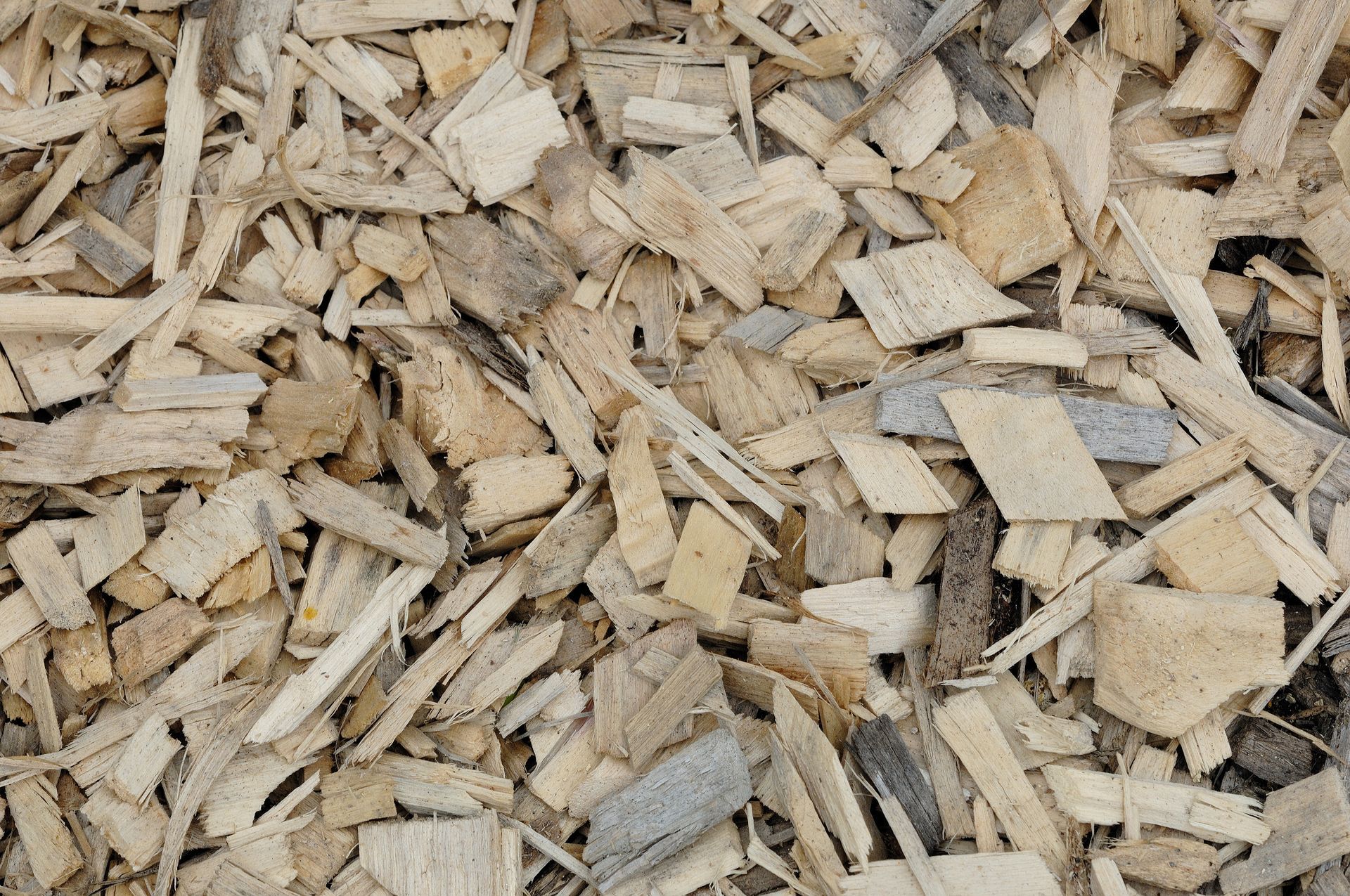 Petits copeaux de bois