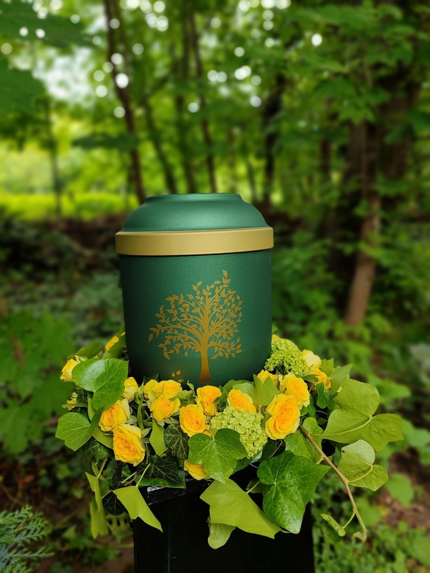 Bestattungsinstitut Zetzsche