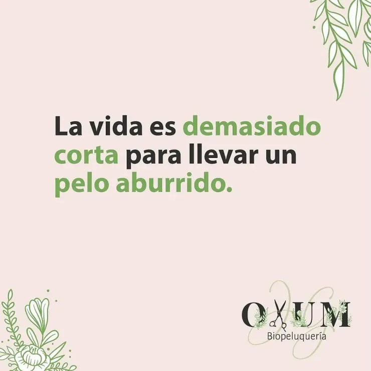 La vida es demasiado corta para llevar un pelo aburrido.