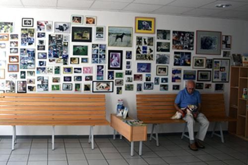 Unser Wartezimmer samt Ahnentafel