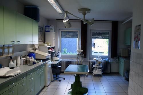 Eine Tierarztpraxis mit einem Tisch und einem Fenster.