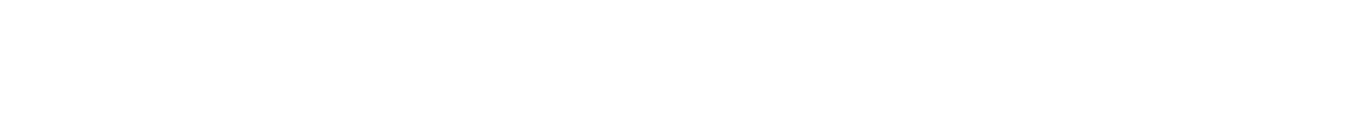 Tourbusse Wendt Logo