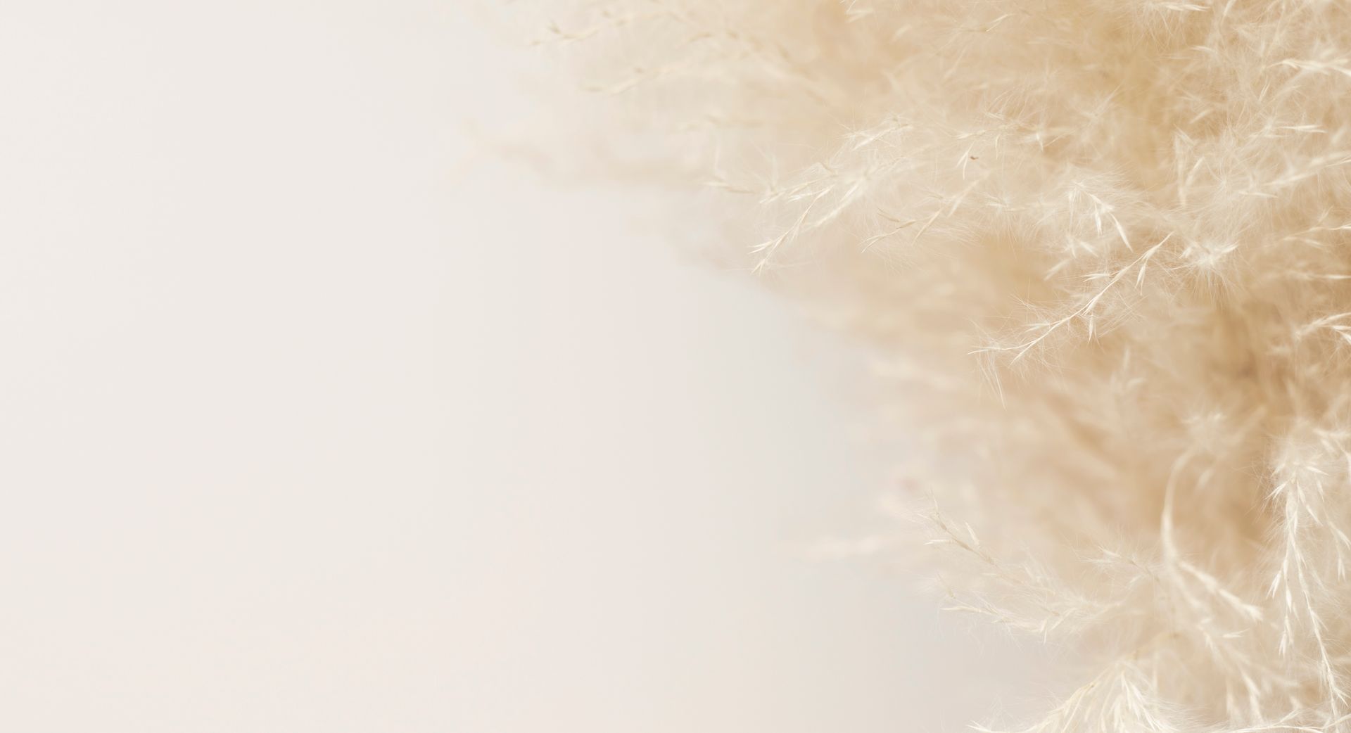 Composition florale à l'aquarelle dans les tons crème et marron.