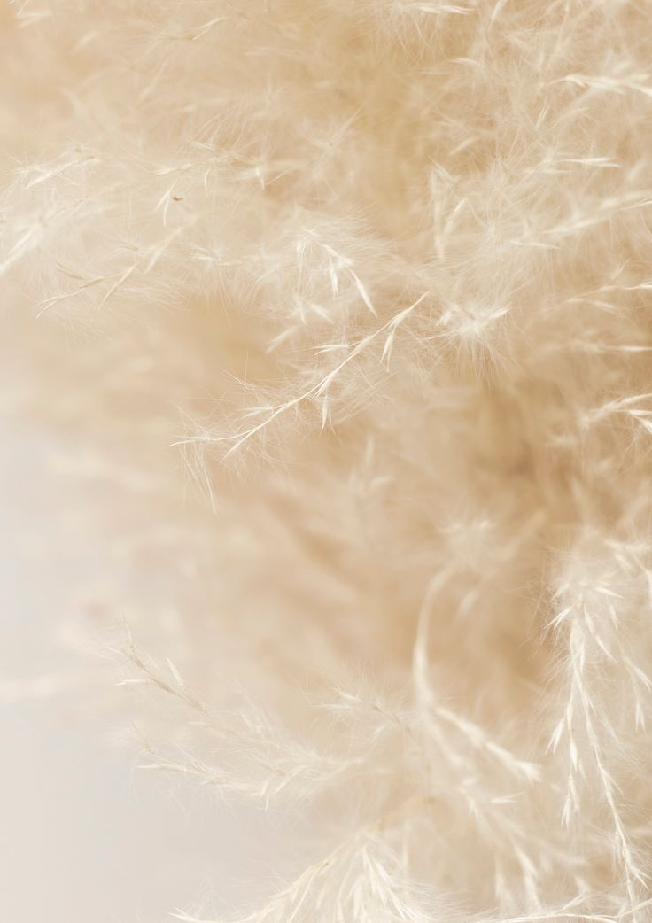 Gros plan sur un tissu végétal beige et duveteux.