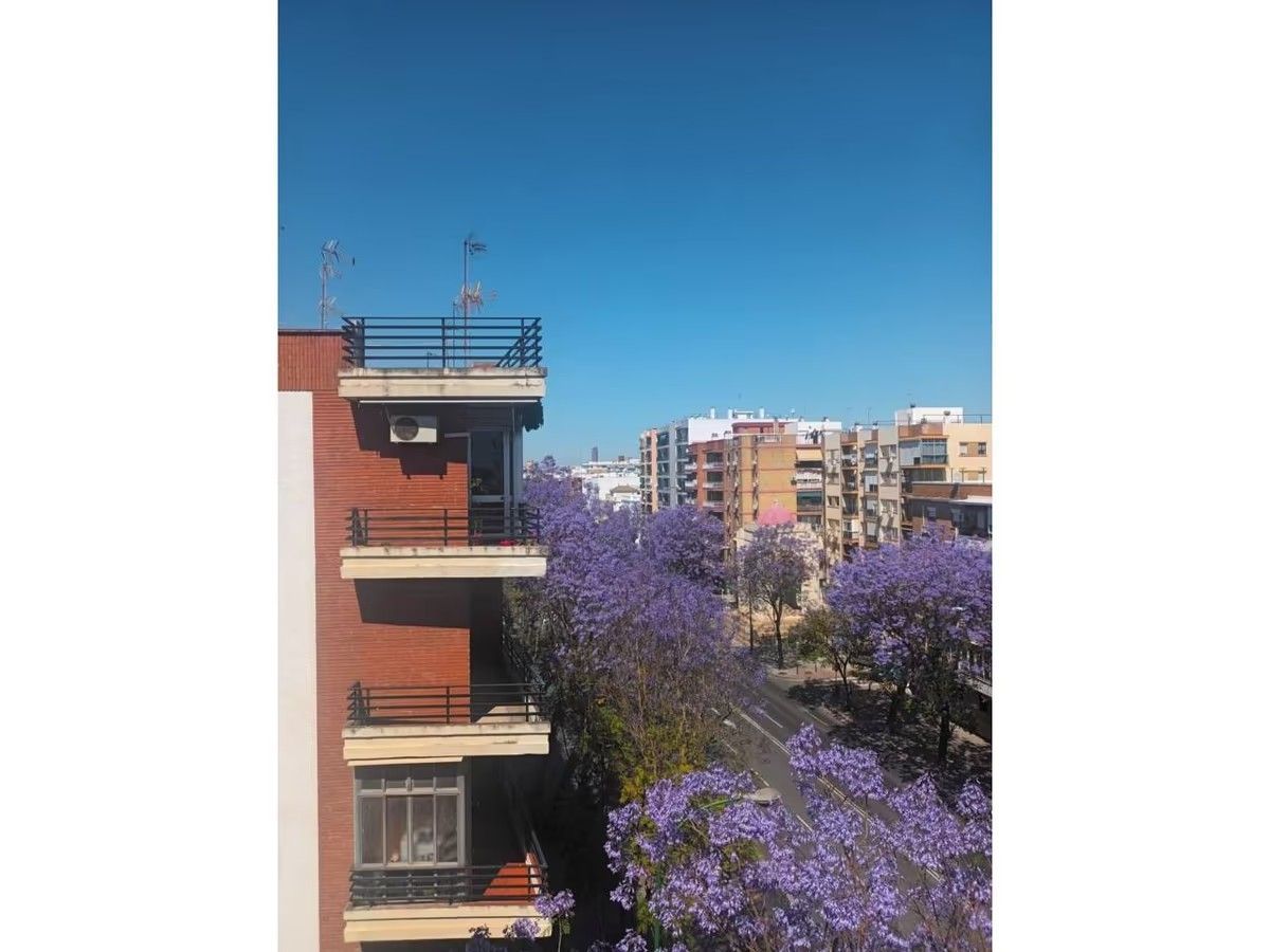 Un edificio con flores moradas en el costado.