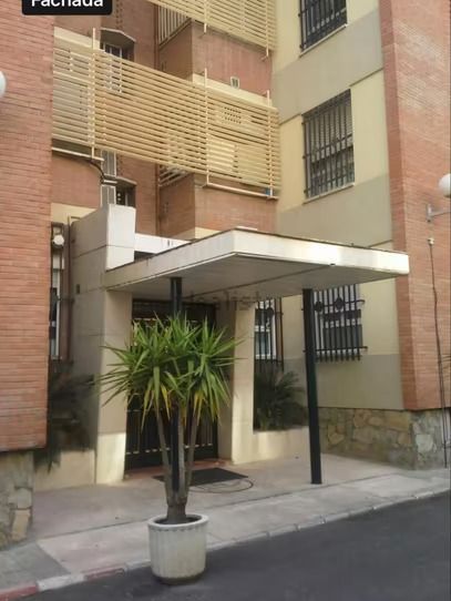 Un edificio con una palmera delante