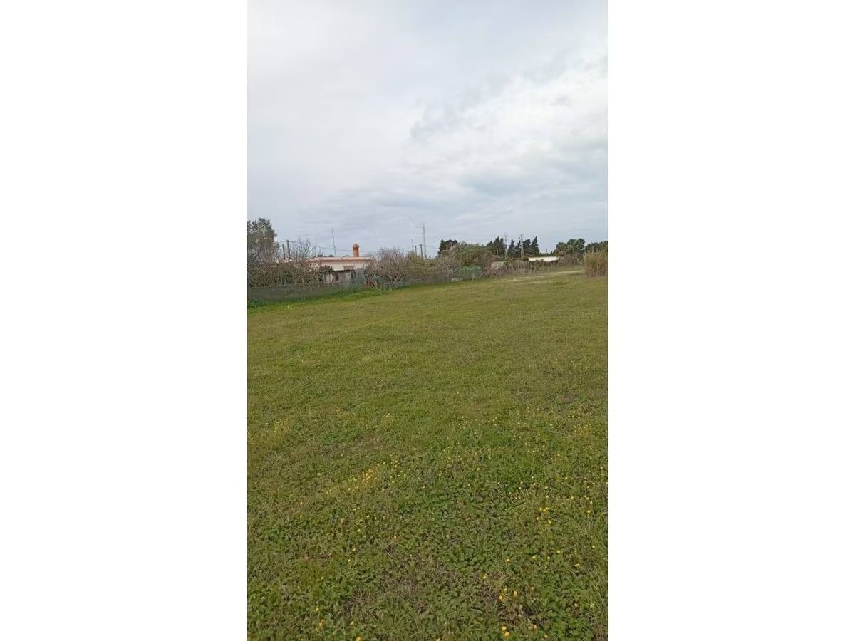 Un gran campo de hierba con una casa al fondo.