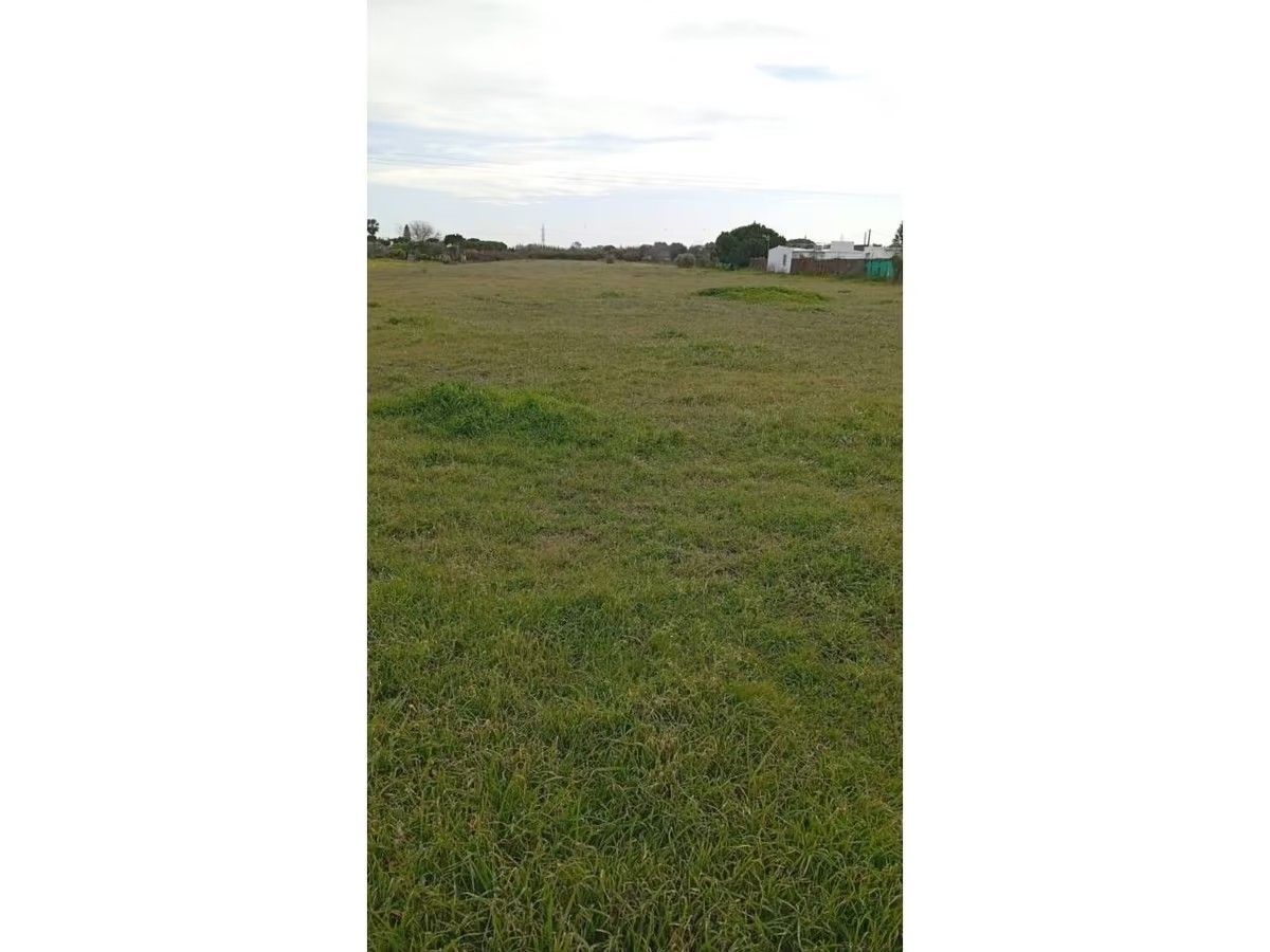 Un gran campo de hierba con un edificio al fondo.