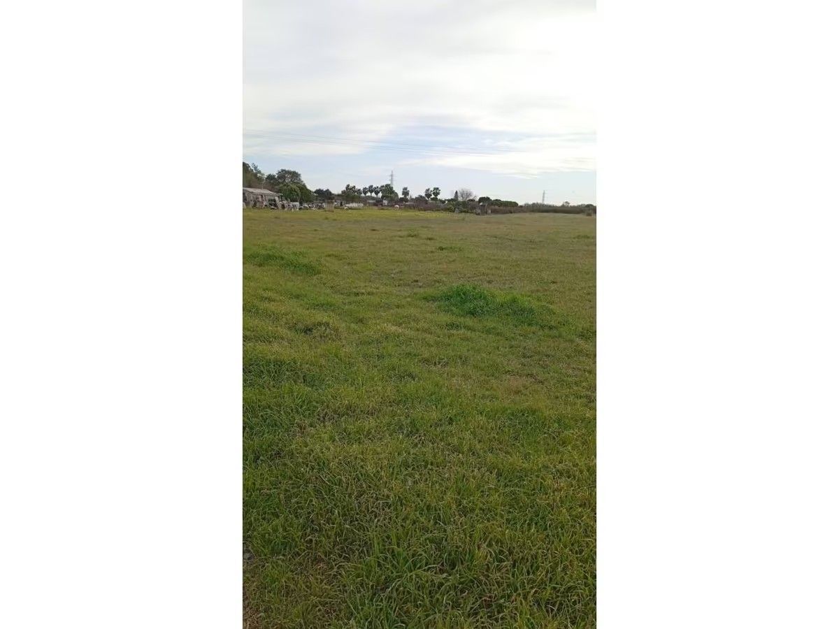 Un gran campo de hierba con árboles al fondo en un día nublado.