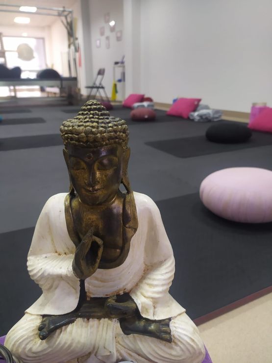 Una sala de estar con un sofá azul y una silla rosa.