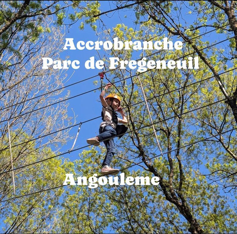 IMG_0434 (2) IMG_0434 (2)