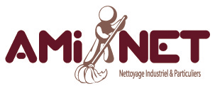 Logo de l'entreprise Ami Net.