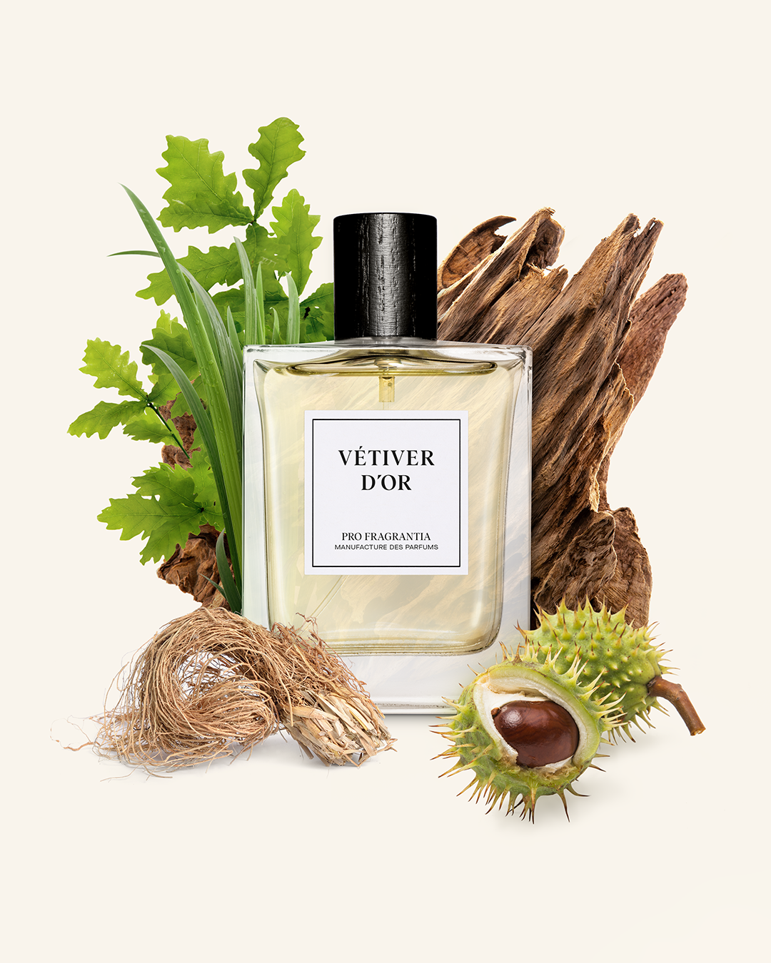 Parfumerie Collection Eclat SA