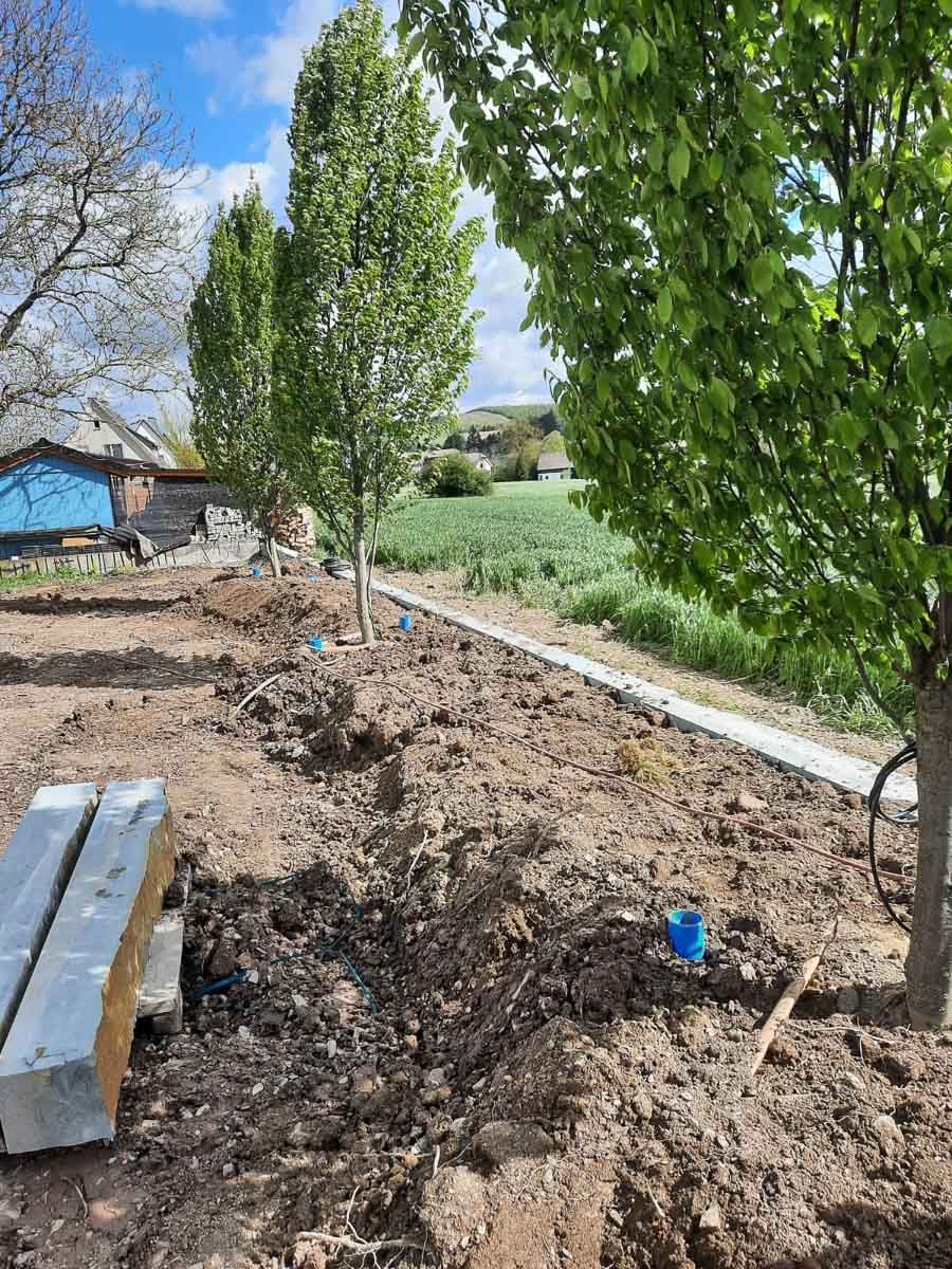 ein Feld mit Bäumen und einem Haus im Hintergrund - Traumgärten Benjamin Biermeyer aus Soest