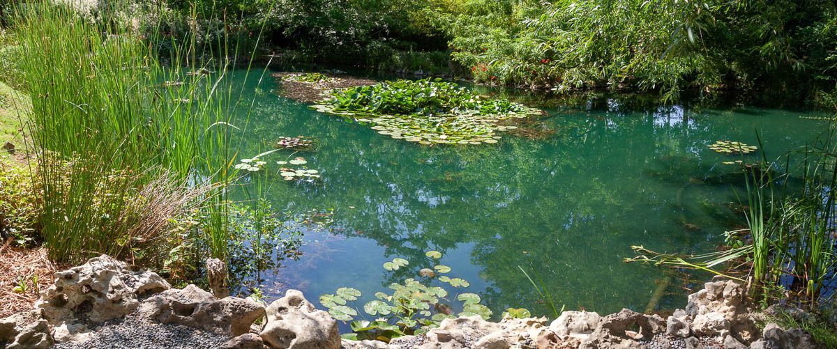 ein kleiner Teich , umgeben von Bäumen und Felsen - Traumgärten Benjamin Biermeyer aus Soest