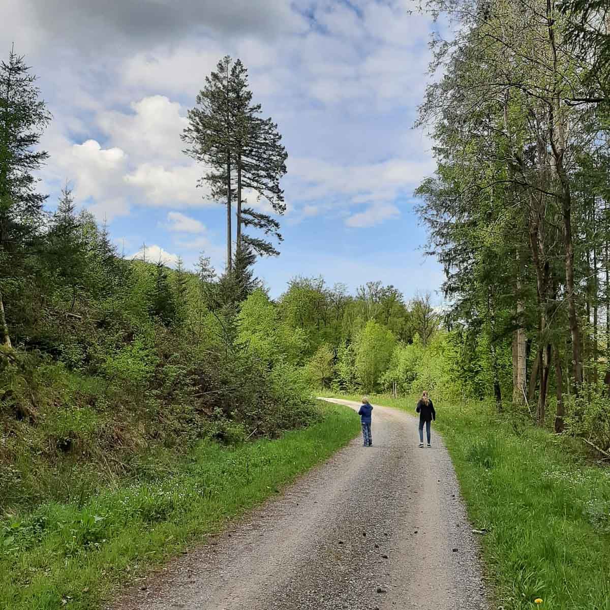 Zwei Menschen gehen auf einer unbefestigten Straße durch einen Wald - Traumgärten Benjamin Biermeyer aus Soest