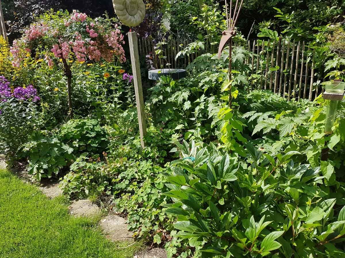 ein Garten mit vielen Pflanzen und Blumen und einem Holzzaun - Traumgärten Benjamin Biermeyer aus Soest
