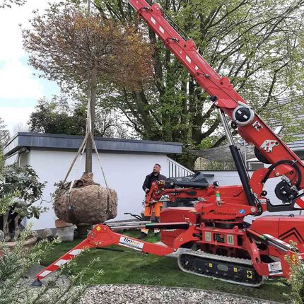 ein kleiner Kran hebt einen Baum in einem Garten - Traumgärten Benjamin Biermeyer aus Soest