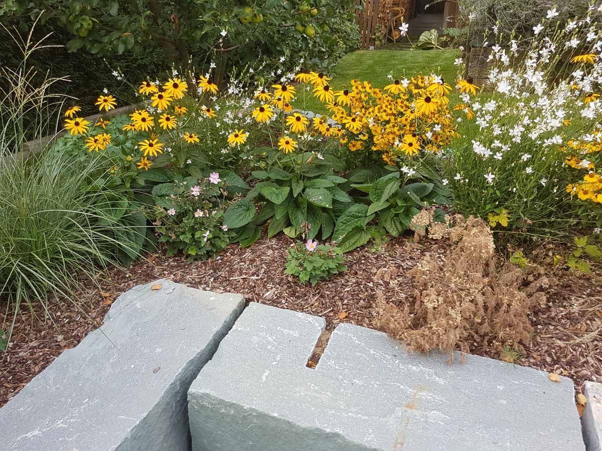 ein Garten mit gelben und weißen Blumen und Steinen - Traumgärten Benjamin Biermeyer aus Soest