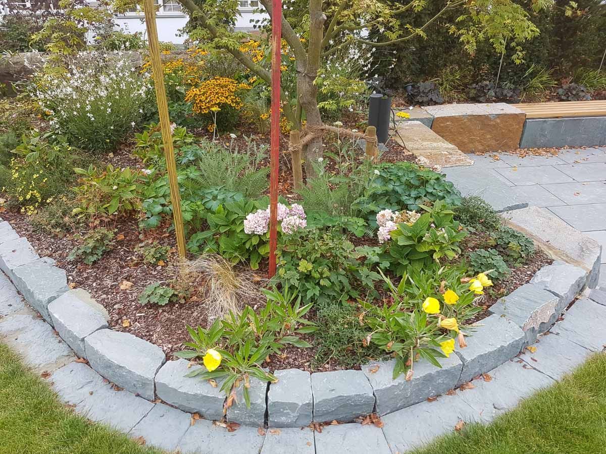 ein kleiner Garten mit einem Baum und vielen Blumen - Traumgärten Benjamin Biermeyer aus Soest