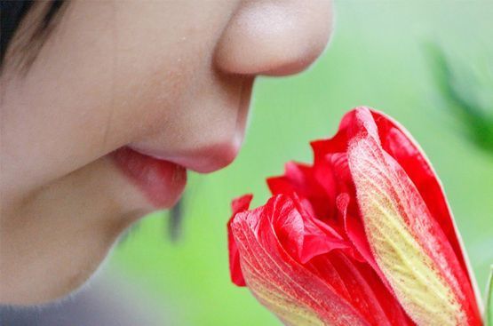 Un primer plano de una persona oliendo una flor roja.