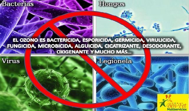 Una imagen de bacterias y hongos con un círculo rojo alrededor de ellos.