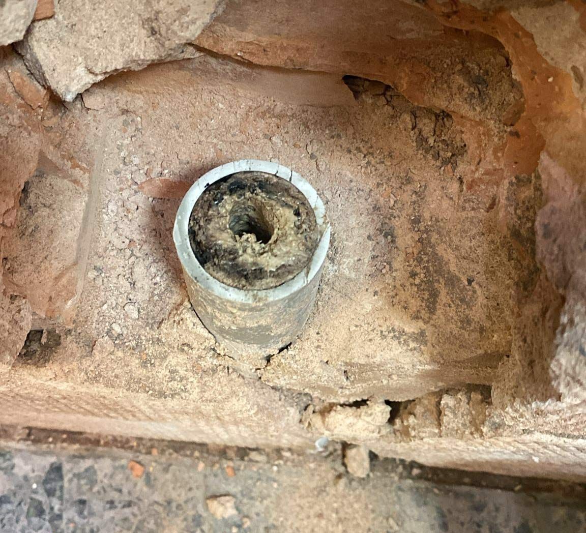 Nido dentro de una estructura de piedra. Tubo gris con restos oscuros, incrustado en roca marrón.