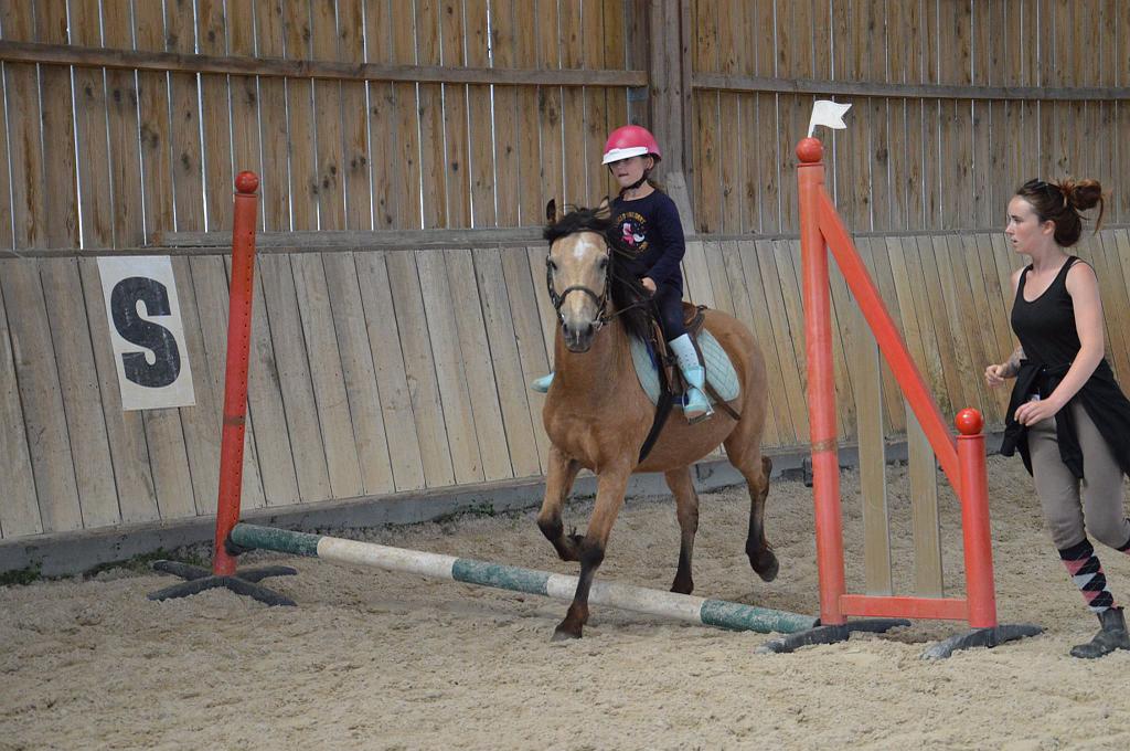 Sport etudes Ludovic Leygue Les Ecuries du Launay