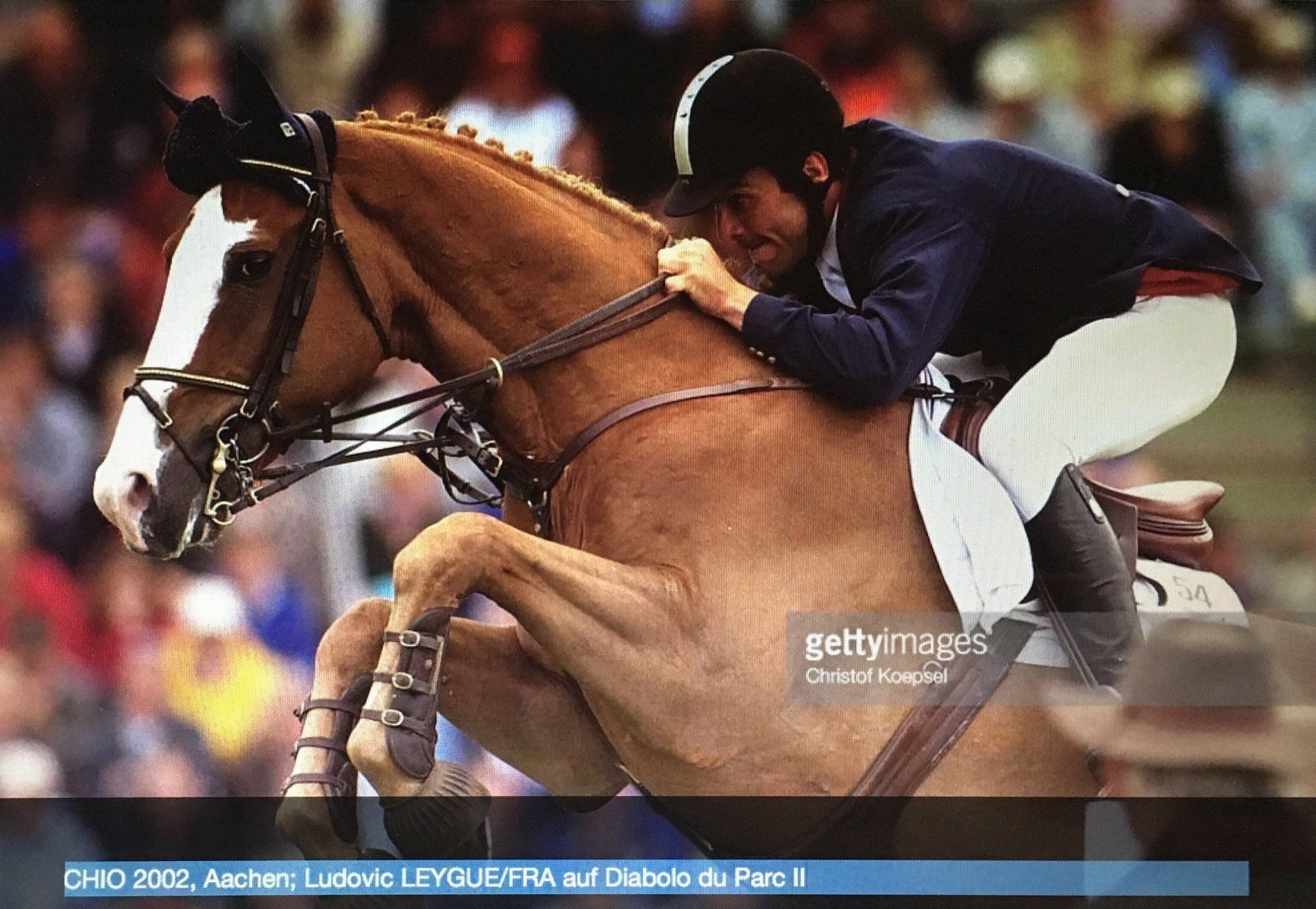 Sport etudes Ludovic Leygue Les Ecuries du Launay Diabolo du Parc 2