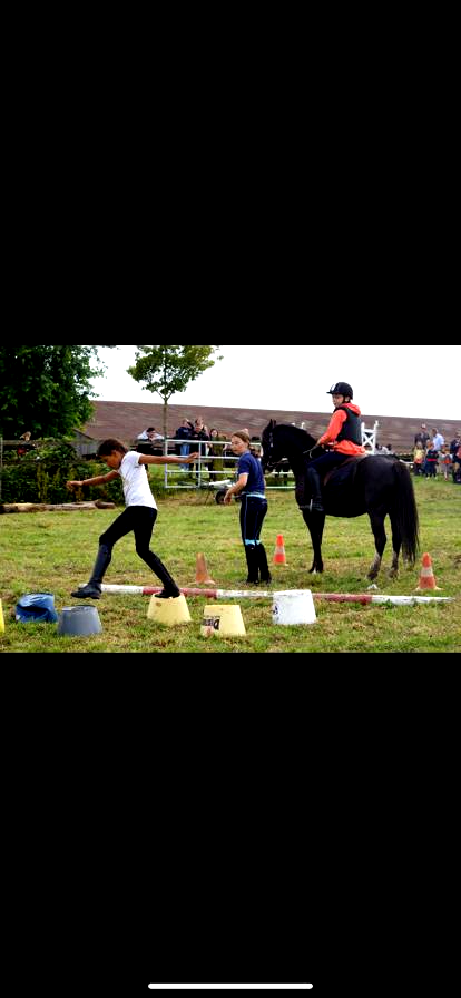cheval noir avec 3 personnes