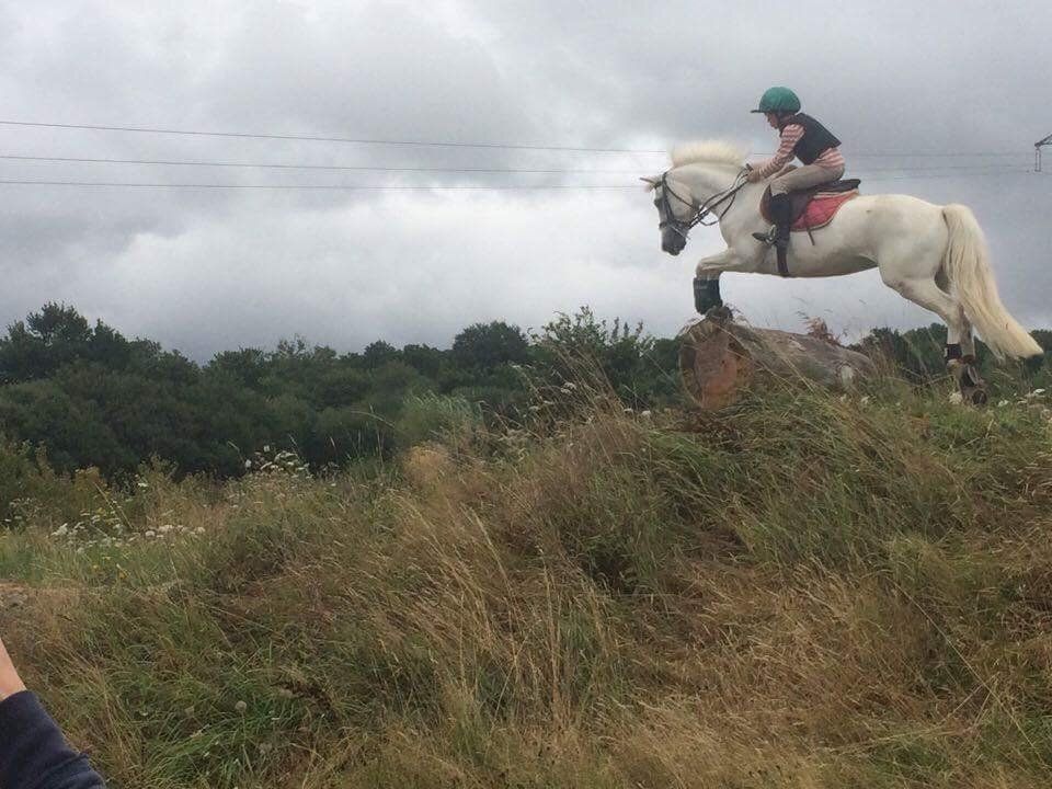 Sport etudes Ludovic Leygue Les Ecuries du Launay