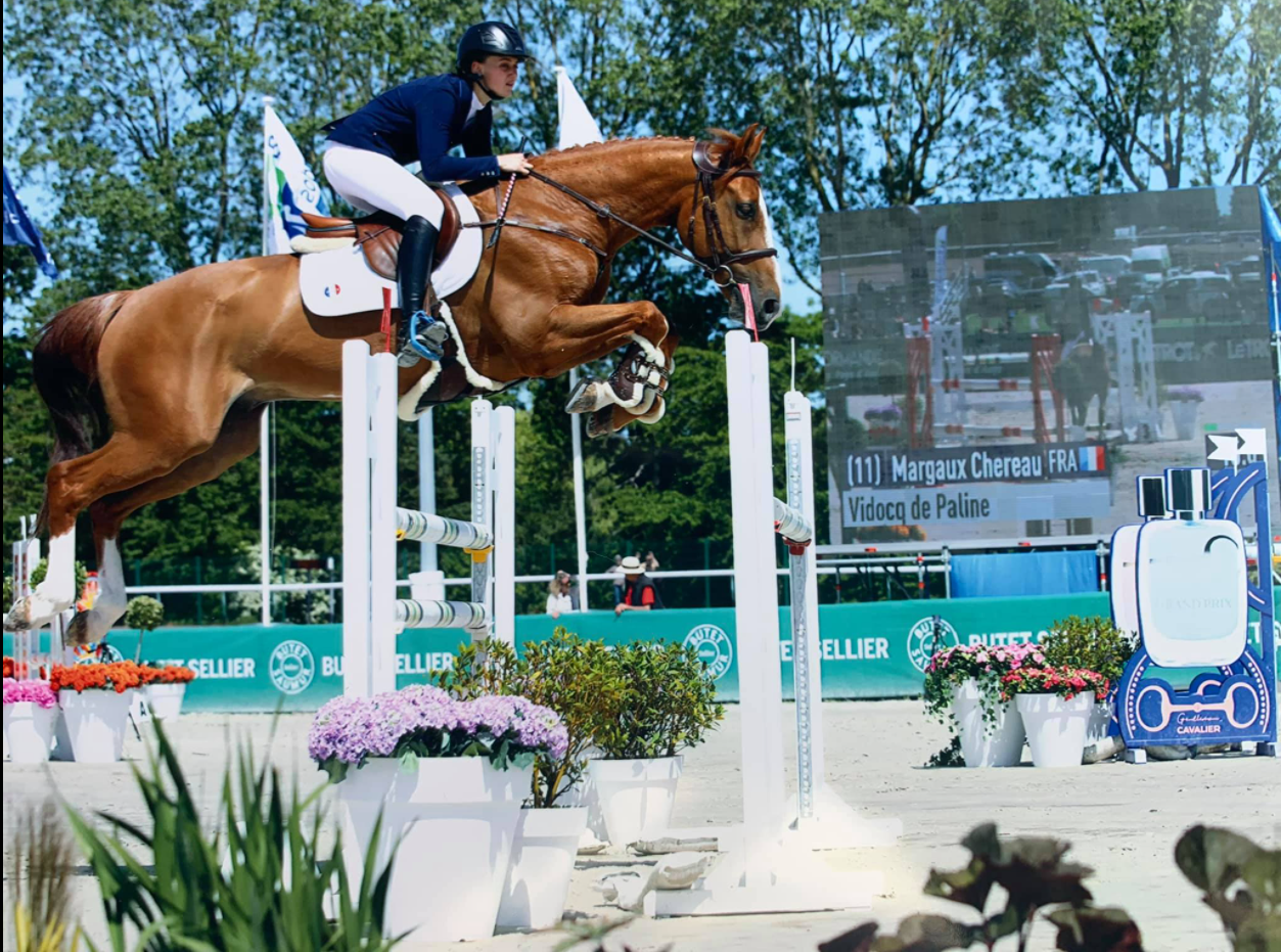 Cheval de la promotion 2020 -2021 saute au dessus d'un obstacle