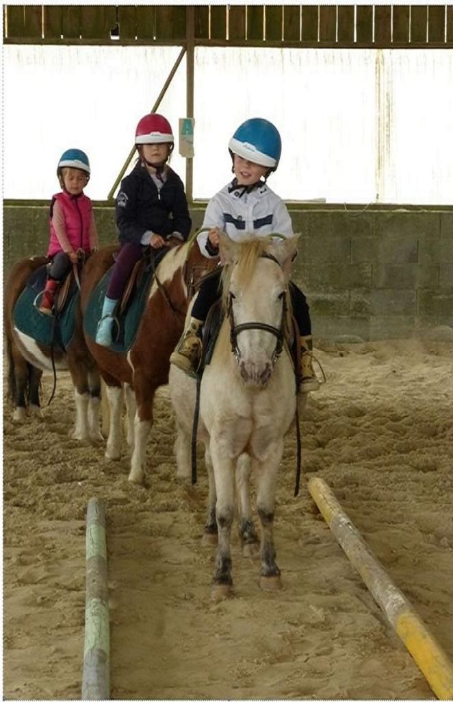 Sport etudes Ludovic Leygue Les Ecuries du Launay