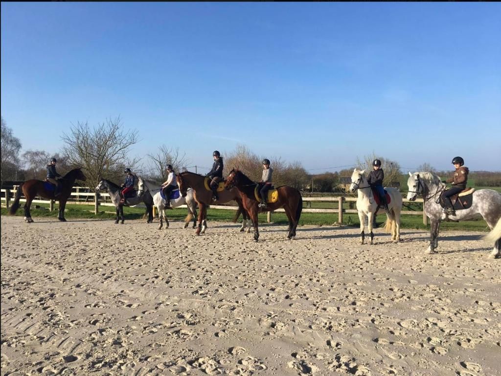 Sport etudes Ludovic Leygue Les Ecuries du Launay