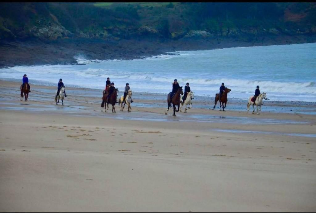 Sport etudes Ludovic Leygue Les Ecuries du Launay