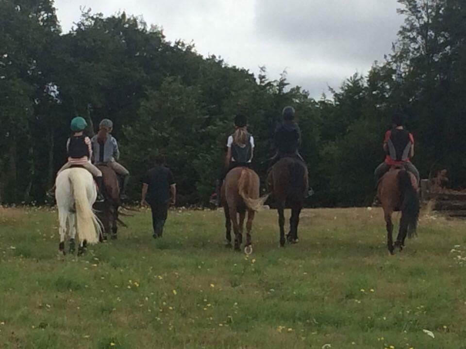 Sport etudes Ludovic Leygue Les Ecuries du Launay