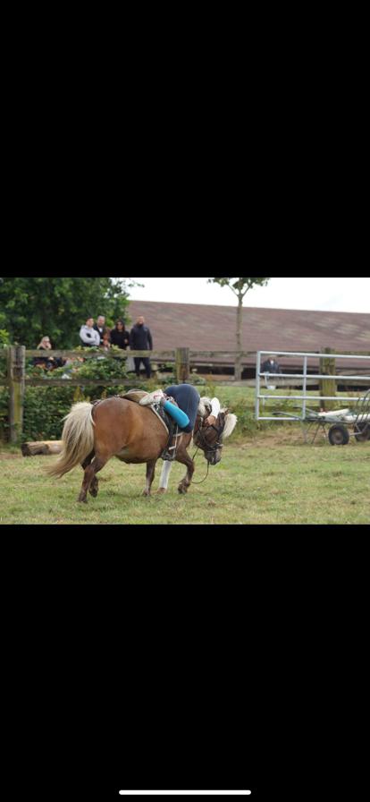 personne en acrobatie sur poney