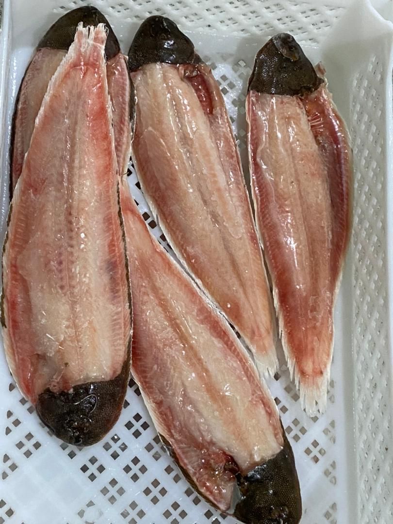 Un montón de peces sobre una bandeja blanca.