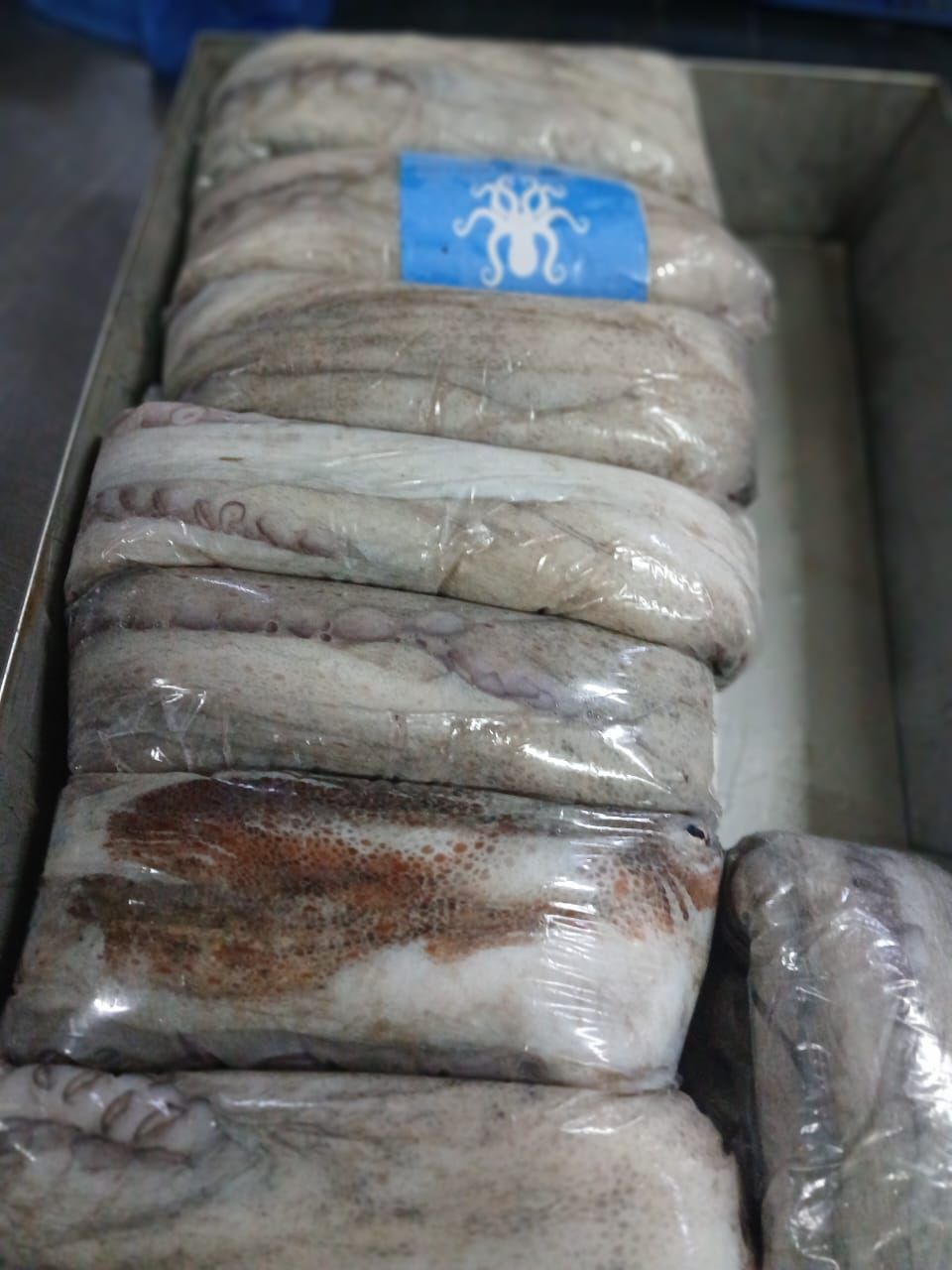 Una pila de calamares congelados colocados uno encima del otro en una caja.