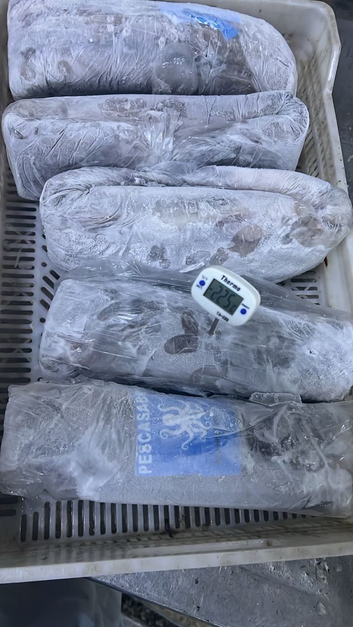 Un termómetro está colocado encima de una bandeja de comida congelada.